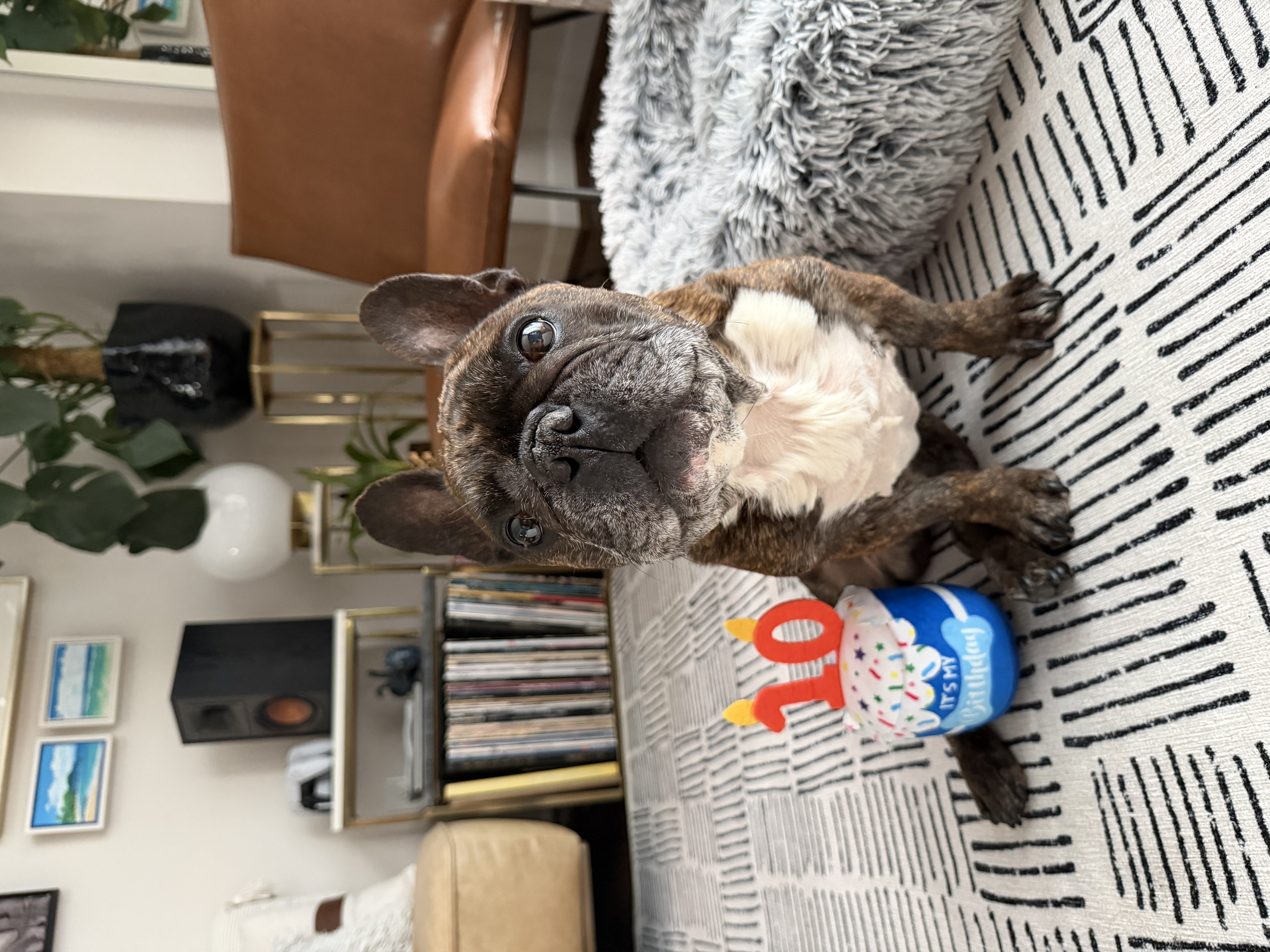Gaston on his tenth birthday beside a birthday toy with number 10 candles