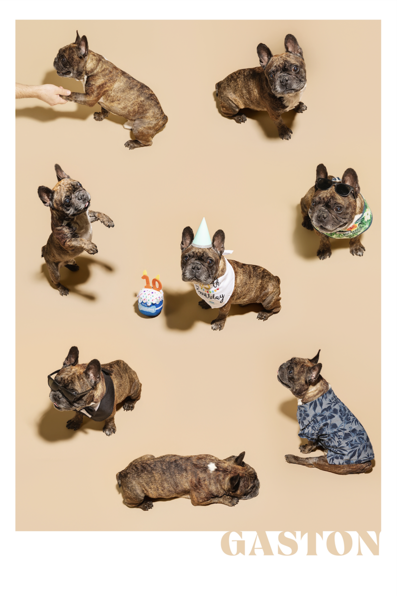 A collage of Gaston posing in different outfits for his tenth birthday photo shoot
