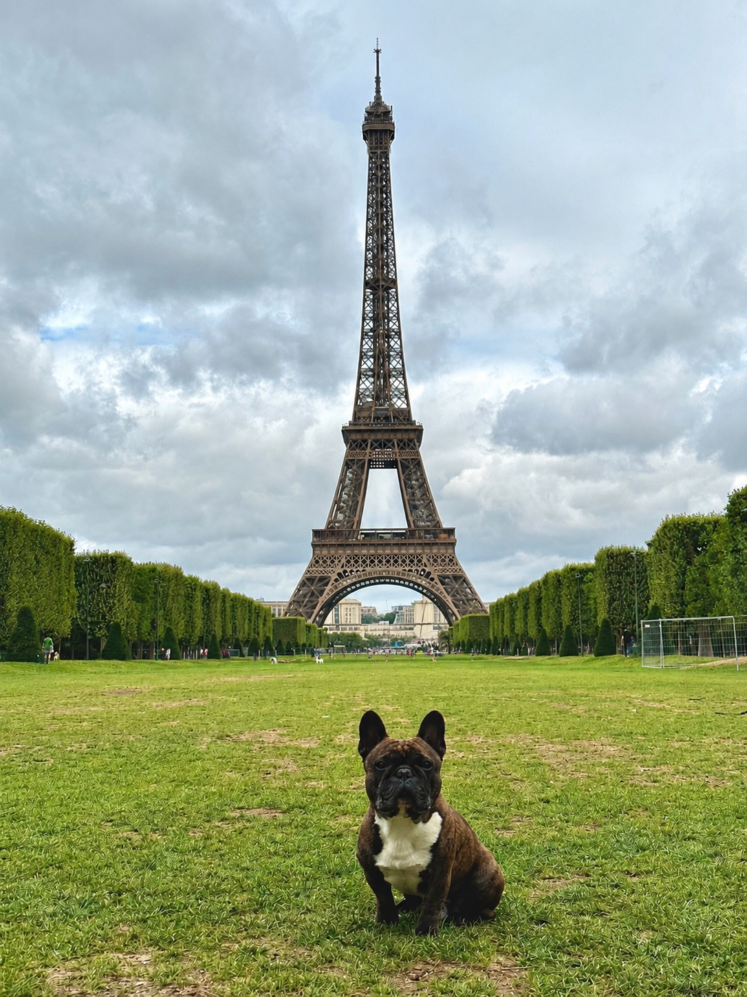 Gaston sitting in front of the Eiffel Tower in Paris